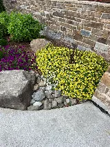 P&P Landscaping and Lawn Care Inc. photo 8