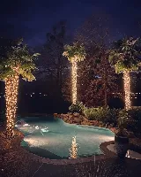 Barefoot Lawns & Lights photo 7