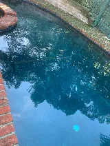 Miller Pool and Spa photo 4