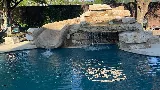 MEC Pools photo 3
