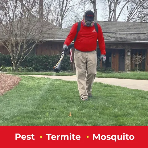 Palmetto Exterminators photo 1
