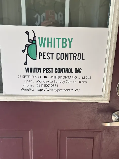 Whitby pest control Inc in Whitby