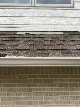 Bone Dry Roofing photo 5