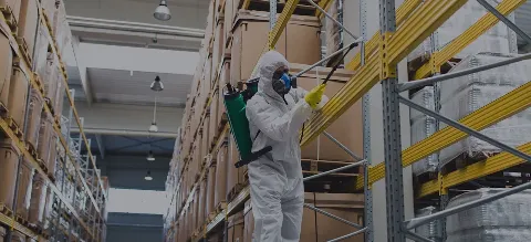 AR Pest Control Milton in Milton