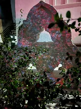 Infinite Sky Landscape Design photo 5
