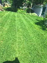 Code Green Landscaping & Property Services photo 5
