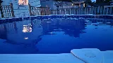 Cannonball Pools Inc. photo 3