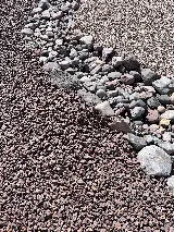 General Services Landscaping and Maintenance photo 5