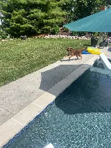 H & H Pools photo 6