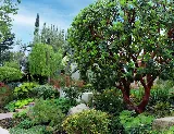 Plant Persuasion photo 4