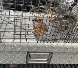 Promax Pest Control Toronto photo 6