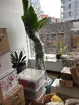 Royal Moving & Storage Portland photo 5