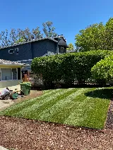 Quality Green Gardening and Landscaping photo 3