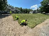 Evergreen Yard Care Inc. photo 6