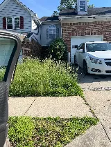Lawn Love Lawn Care of Washington DC photo 5