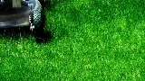 JC's Landscaping LLC