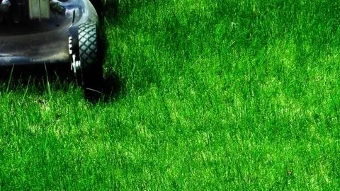 JC's Landscaping LLC in Plano