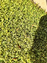 EnviroGuard Pest Control