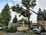 Grover Landscape Services Inc photo 8