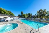Wilson's Pool & Spa Service photo 3