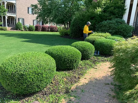 Yellow Jacket Landscaping, LLC photo 1