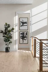 Aspen Homes LLC photo 7