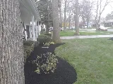 RICO ENTERPRISE (Serving Erie & Niagara county) photo 2