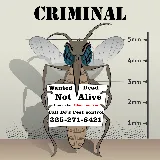 DJ's Pest Control photo 6