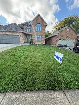 Grazie Landscaping photo 2