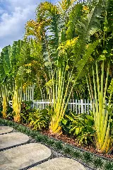 PHB Landscaping & Nursery photo 2