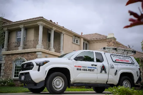 Allied Pest Control in Corona