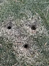 Barnes Quality Pest Control Inc. photo 2