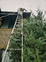 Wow Pest Control photo 7