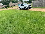 ClearDefense Pest Control photo 6