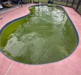 All About Pool Care Services, LLC photo 4