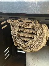 Spud Pest Control photo 5