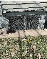 A&R Pest Patrol photo 5