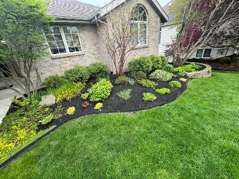All Seasons Landscaping photo 1