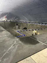 Castro Pool Services photo 4