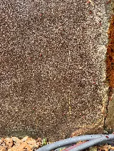 Brown Reclusinator Pest Control photo 3