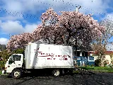 BC Moving & Storage Ltd photo 4