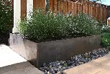 Koch & Associates Landscape Design & Construction photo 4