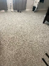 Lloyd Pest & Termite Control photo 5