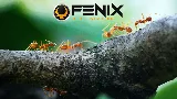 Fenix Pest Control, Inc. photo 7