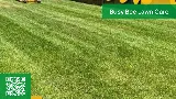 Busy Bee Lawn Care & Sprinkler Repair photo 2