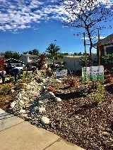 SoCal Landscape and Trees photo 6