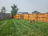 Linden Landscape Services photo 4