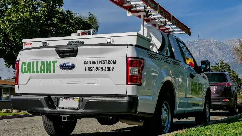 Gallant Termite & Pest Control photo 1