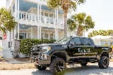Diamond Pest Pro photo 2
