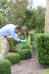 Austin Pest Control photo 6
